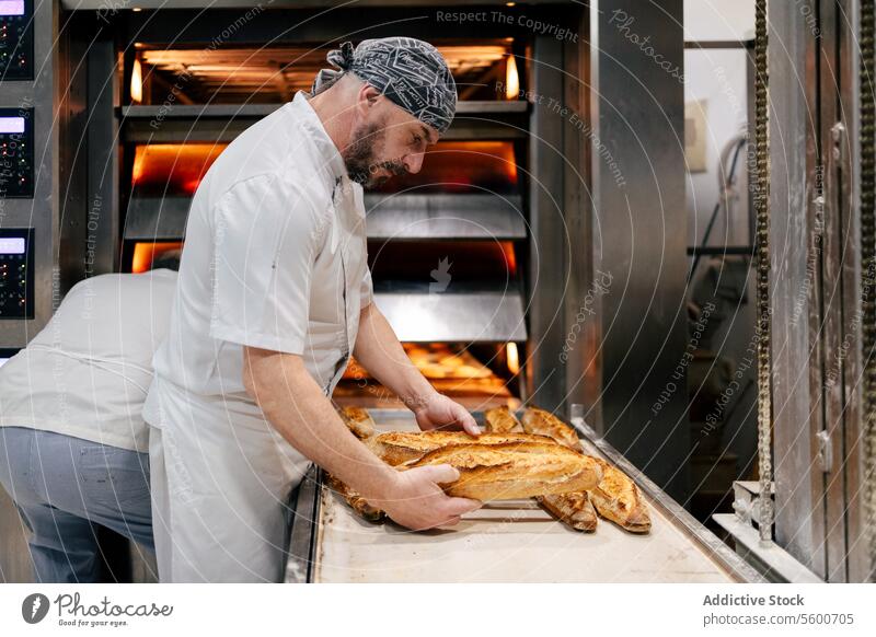 Bäcker, der Brot vom Fließband nimmt Mann Förderband Gerät Bäckerei Kommissionierung Automatisierung Gurt industriell Tablett Lebensmittel Technik & Technologie