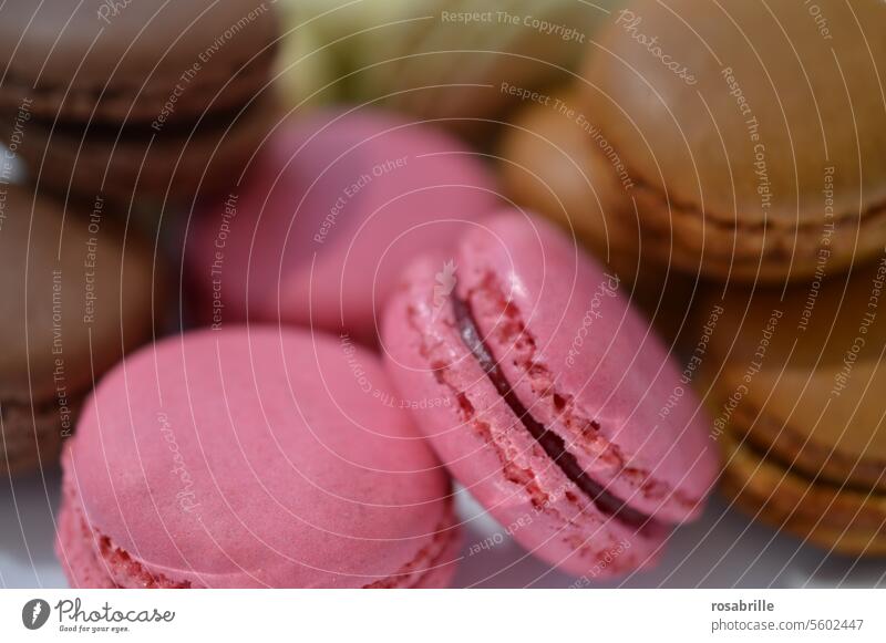 Der Mensch lebt nicht von Lebkuchen allein | Macarons sind auch ganz nett Süßwaren Backwaren bunt Zucker süß Dessert Gebäck französisch rosa Geschmack lecker