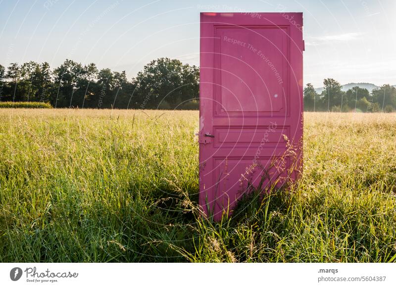 Neues Land Symbole & Metaphern Tür Wiese Sommer Schönes Wetter Wolkenloser Himmel einzeln pink Natur Sonnenlicht Suche Abenteuer Anfang neu Eingang