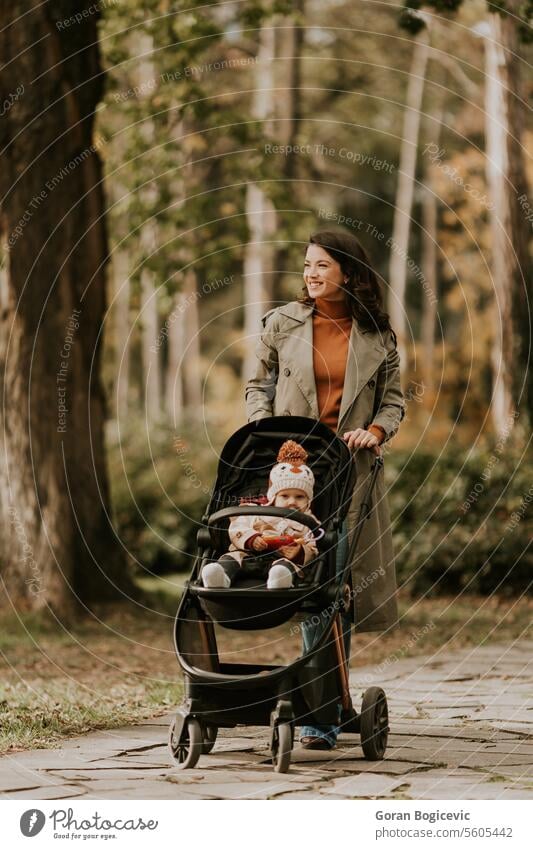 Junge Frau mit niedlichen Baby Mädchen im Kinderwagen im Herbst Park bezaubernd Erwachsener Pflege Kaukasier Kindheit Tochter fallen Familie Laubwerk