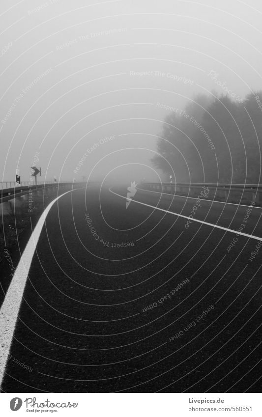 ...von der Jollybrücke Umwelt Natur Landschaft Himmel Wolken Herbst Nebel Pflanze Baum Verkehrswege Straße Wege & Pfade dunkel schwarz weiß Schwarzweißfoto