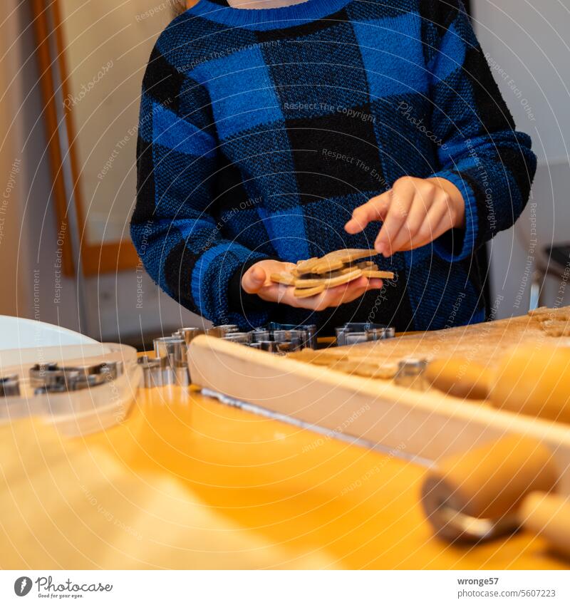 Der Mensch lebt nicht von Lebkuchen allein | zur Adventszeit vielleicht doch? Thementag Plätzchen Pepparkakor, Schwedische Gewürzplätzchen Weihnachten & Advent