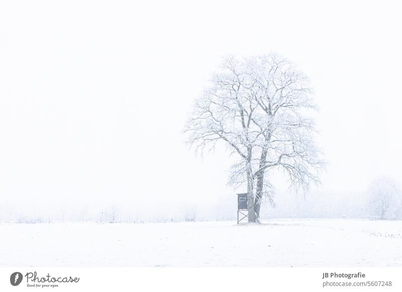 Winterlandschaft in Norddeutschland Winterstimmung Winterzeit winterlich Wintertag Schnee Schneelandschaft kalt weiß Kälte schneebedeckt Schneedecke verschneit