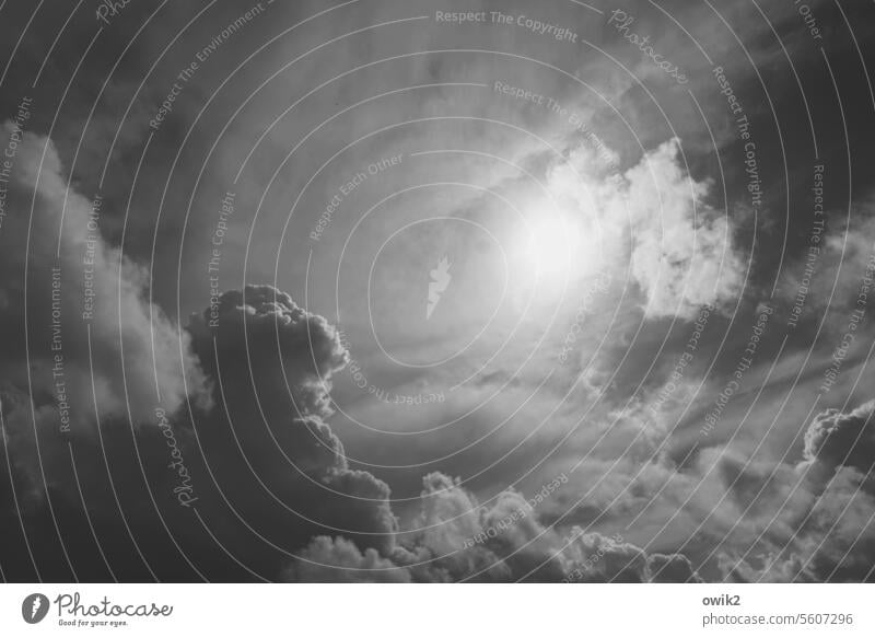 Wolkenschaf Außenaufnahme Luftaufnahme nur Himmel Gewitterwolken Wetter fantastisch Ferne grau Unendlichkeit Ewigkeit Unwetter Wolkenhimmel Wolkenformation