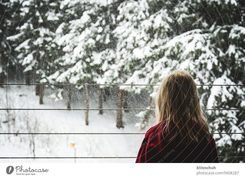 Ein Mädchen am Fenster beobachtet den Schneefall Winter kalt weiß Natur Winterstimmung Wintertag Schneelandschaft Jahreszeiten Kälte Wald Winterwald freude