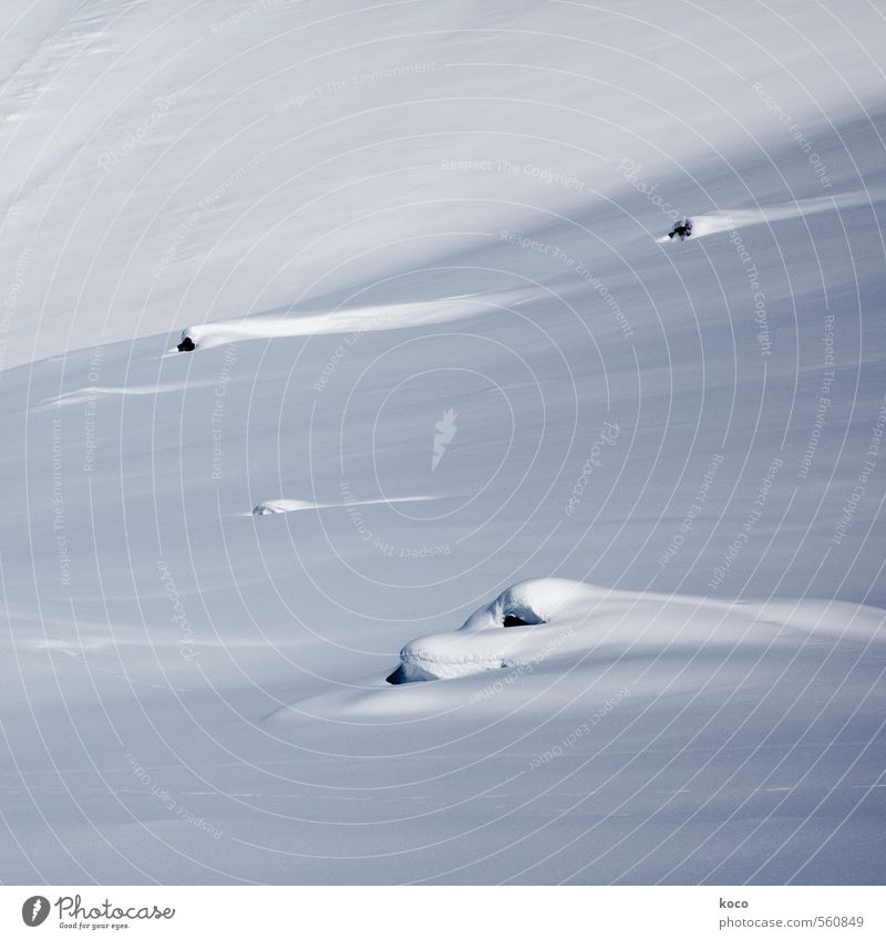 im schnee. Umwelt Natur Landschaft Erde Schnee Berge u. Gebirge Linie Streifen kalt blau schwarz weiß Einsamkeit rein Schneebedeckte Gipfel Farbfoto