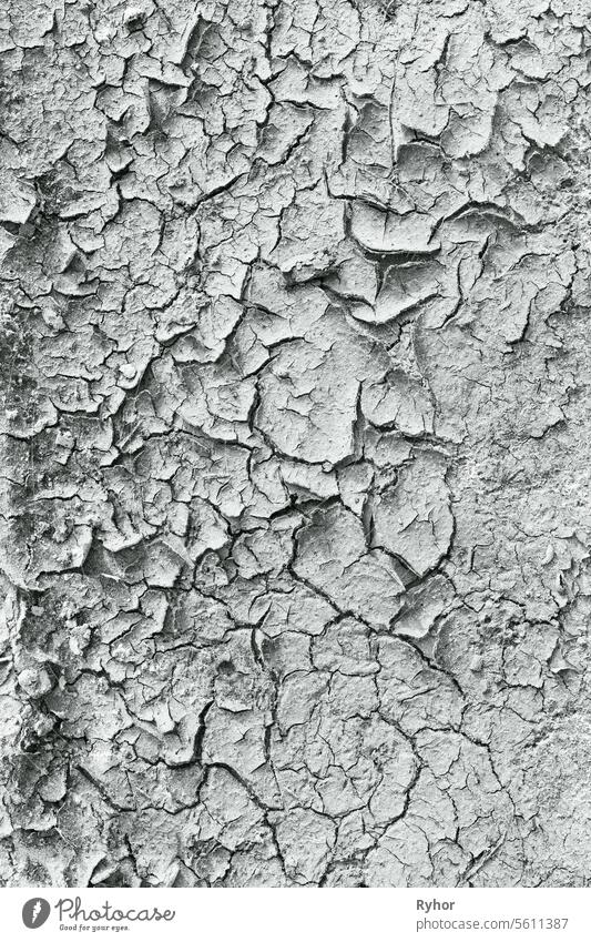 Cracked Soil, Öde Ödland Oberfläche. Natürlicher Hintergrund, Textur des trockenen, rissigen Bodens. Wüstenbildung. Tiefe Risse und ausgetrocknete Böden. Ökologie und Naturschutz. Trockene Haut Konzept Kosmetologie