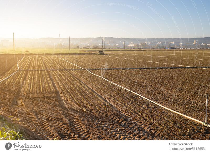 Sonnenbeschienenes landwirtschaftliches Feld, bereit für die Bewässerung Ackerbau Boden Sonnenlicht Röhren Vorbereitung Bepflanzung Bauernhof Landschaft Natur