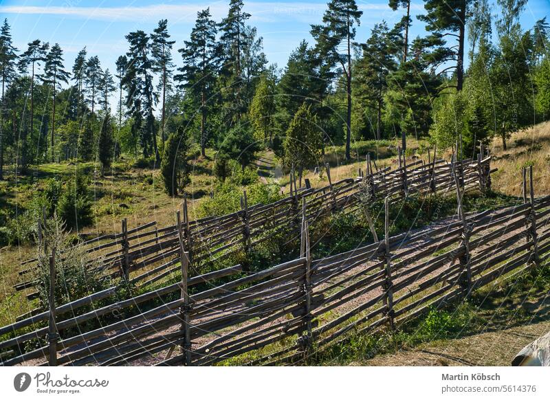 Spaziergang in Schweden smalland auf einem Pfad am alten Holzzaun. Wald, Wiese Landschaft kleinund Weg Natur konventionell Tourismus Zaun Norden Himmel Baum