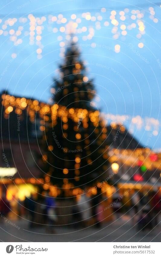 Oh Tannenbaum | Es weihnachtet sehr Weihnachtsbaum Weihnachtsmarkt Weihnachtsdekoration Weihnachtsbeleuchtung weihnachtlich Menschen Weihnachtsstimmung