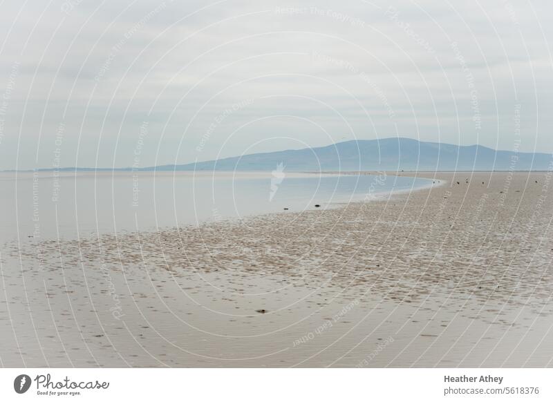 Leerer Strand an einem nebligen Wintertag mit einem Hügel im Hintergrund MEER Landschaft Sand Natur Wasser