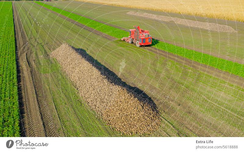 Luftaufnahme eines Stapels geernteter reifer Zuckerrüben oben landwirtschaftlich Ackerbau Agronomie Herbst Rübe Haufen Mähdrescher Land Ernte kultiviert