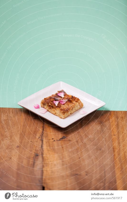 Schnitte Kuchen Ernährung schön süß türkis Holzbrett Tisch Farbstoff Papier Durchschnitt Blütenblatt streuselkuchen Teller zweiteilung Farbfoto Innenaufnahme