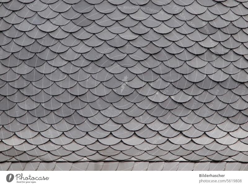 Detail eines Hausdaches aus Naturschiefer schieferwand schieferstruktur naturschiefer schieferverkleidung schieferfassade schieferdach schieferplatten