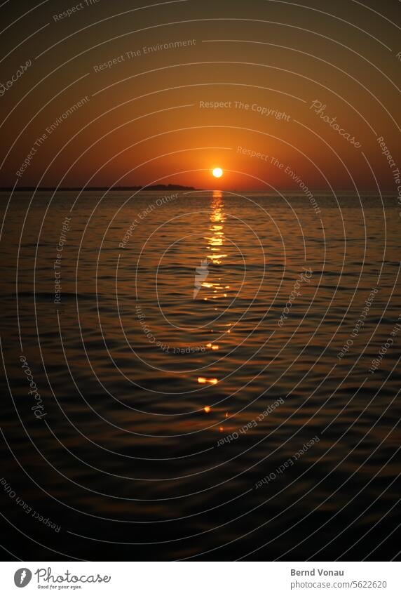 Sonnenuntergang am Strand von Kroatien Urlaub Sommer Sommerurlaub Ferien & Urlaub & Reisen Küste Erholung Meer Wasser Himmel Natur Wellen Horizont Freiheit