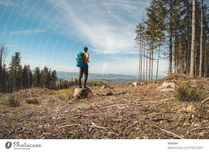 Abenteurer und Wanderer mit blauem Rucksack auf einem Baumstumpf in den Beskiden, Tschechische Republik. Wanderweg Backpacker Hemd Trekking Freiheit Verpackung