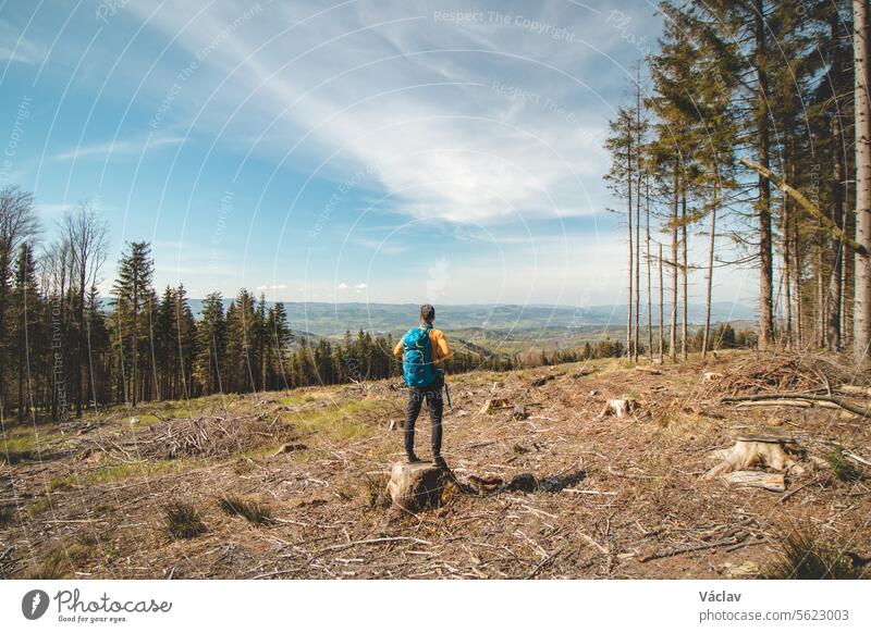 Abenteurer und Wanderer mit blauem Rucksack auf einem Baumstumpf in den Beskiden, Tschechische Republik. Wanderweg Backpacker Hemd Trekking Freiheit Verpackung