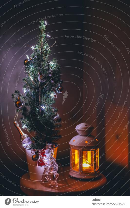 Weihnachtsbaum mit Lichterketten Lichterscheinung Abend Adventszeit Beleuchtung Weihnachtsbeleuchtung Vorfreude Stimmung Weihnachtsstimmung Feste & Feiern