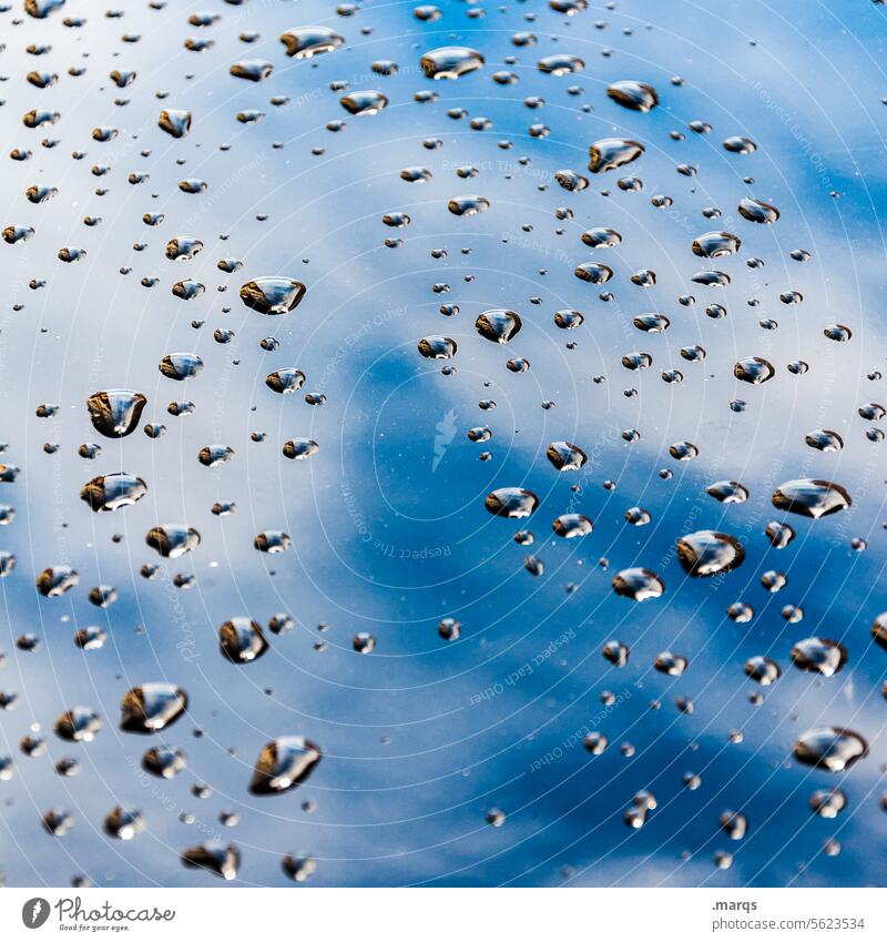Wassertropfen nass Nahaufnahme Tropfen Regentropfen Detailaufnahme Reflexion & Spiegelung Wasserperlen Oberfläche glänzend Hintergrundbild abperlen Textur