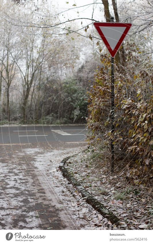 andere haben vorfahrt. Natur Wolken Herbst Winter Klima Klimawandel Nebel Eis Frost Pflanze Baum Gras Sträucher Kleinstadt Stadt Stadtrand Verkehr Verkehrswege
