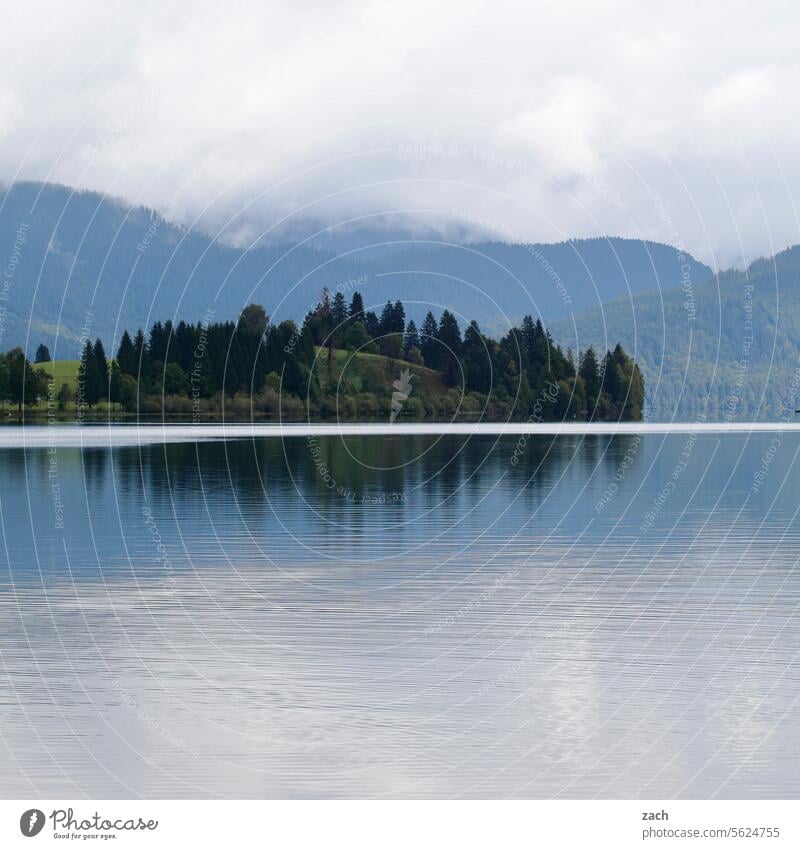 stille Wasser See Reflexion & Spiegelung Natur Spiegelung im Wasser ruhig Idylle Seeufer Ruhe Landschaft Ufer Bäume Insel Wolken