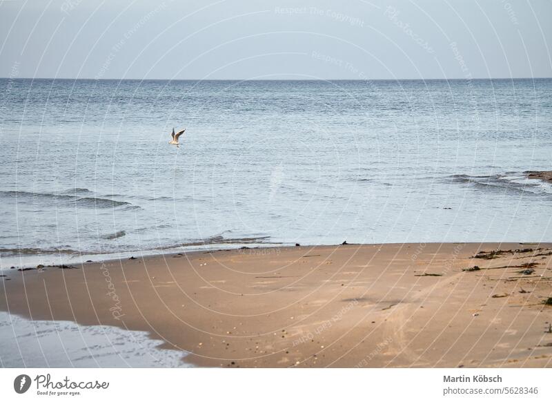 An der Ostseeküste. Die Wellen rollen auf den Sandstrand. Naturfoto am Meer Weststrand Badeurlaub Sonnenuntergang Strand MEER winken Wasser Landschaft wolkig