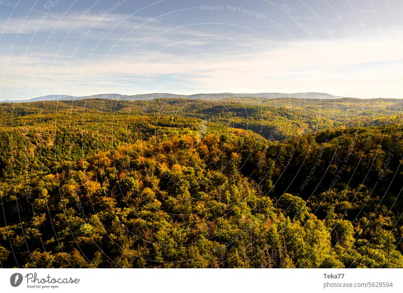 Der Thüringer Wald 1 thüringen thüringer wald natur bäume nadelbäume laubbäume deutschland eisenach