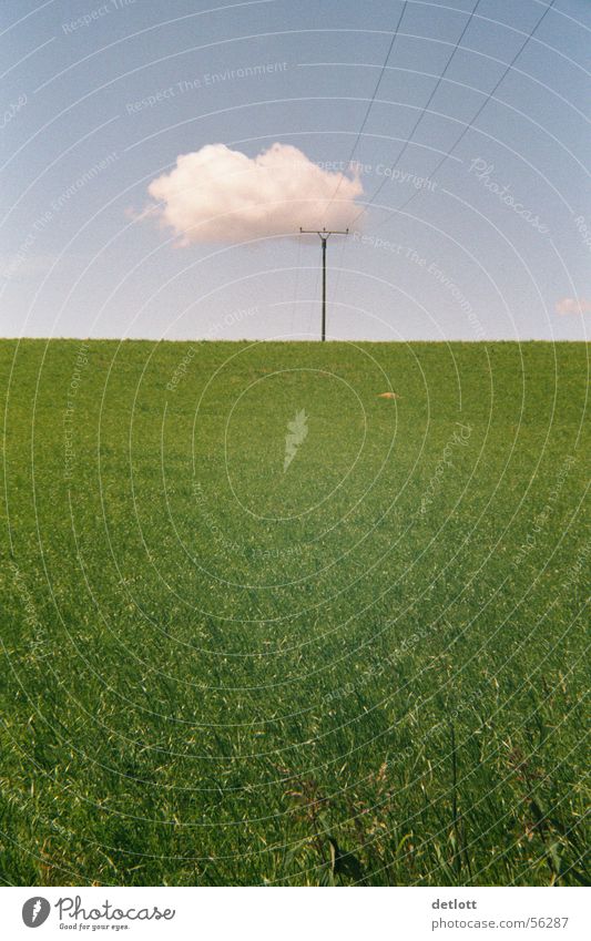 Wolkenkrücke Strommast grün Horizont Spielen Elektrizität Schönes Wetter Sommer sehr wenige ruhig Gras Elektrisches Gerät Technik & Technologie Himmel Natur