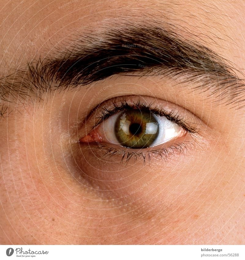 Auge-13 Pupille Wimpern Augenbraue Kontaktlinse Regenbogenhaut augenleid