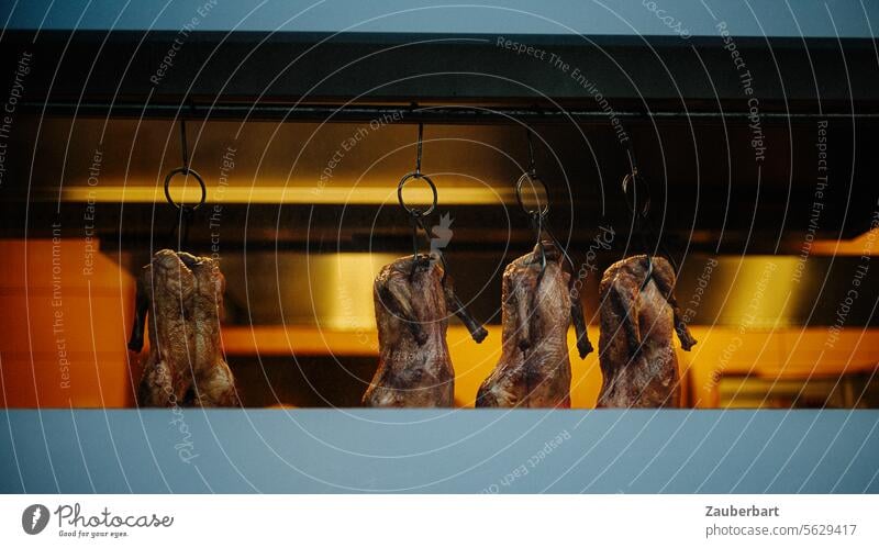 Die Körper toter Hühner, Gänse oder Enten werden für den Verzehr präsentiert Huhn Gans Schrecken entwürdigend Nahrungsmittel essen fressen hängen aufhängen