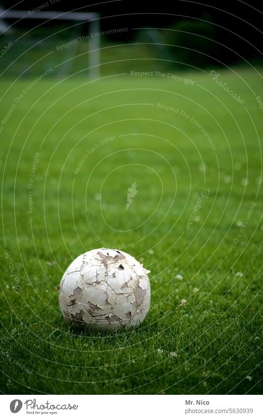 die schönste I Nebensache I der welt Freizeit & Hobby Fußball Ballsport Sport Gras Wiese Sportplatz bolzplatz lederball Fußballstadion Fußballplatz Sportrasen