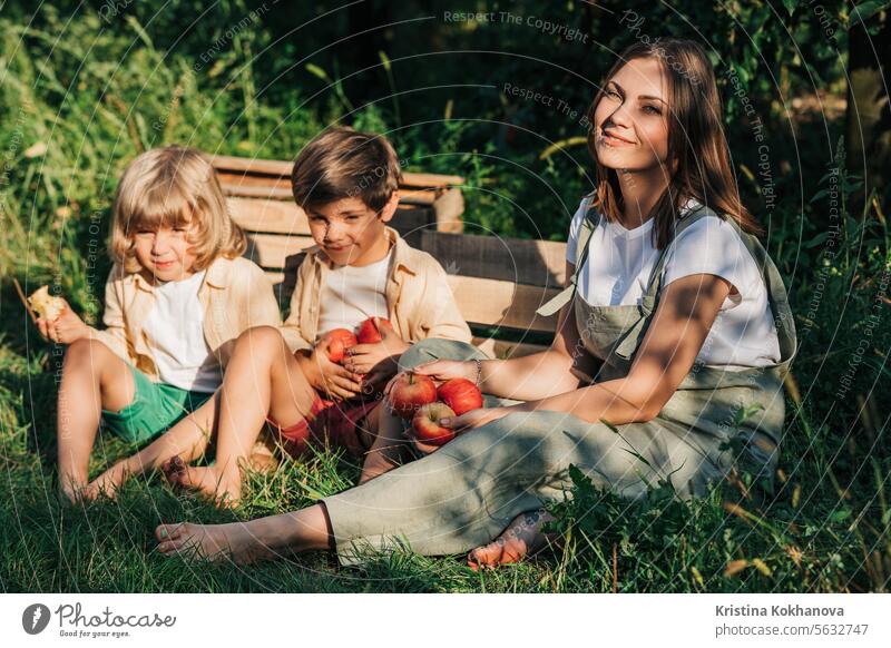 Frau Gärtnerin mit Kindern Kinder gepflückt rote Äpfel in der Heimat Landschaft Obstgarten Erwachsener Ackerbau Apfel Herbst schön Ast Kaukasier auserwählend