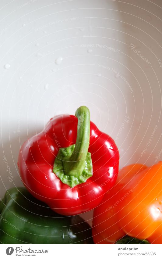 paprika Paprika Ernährung kochen & garen Gemüse