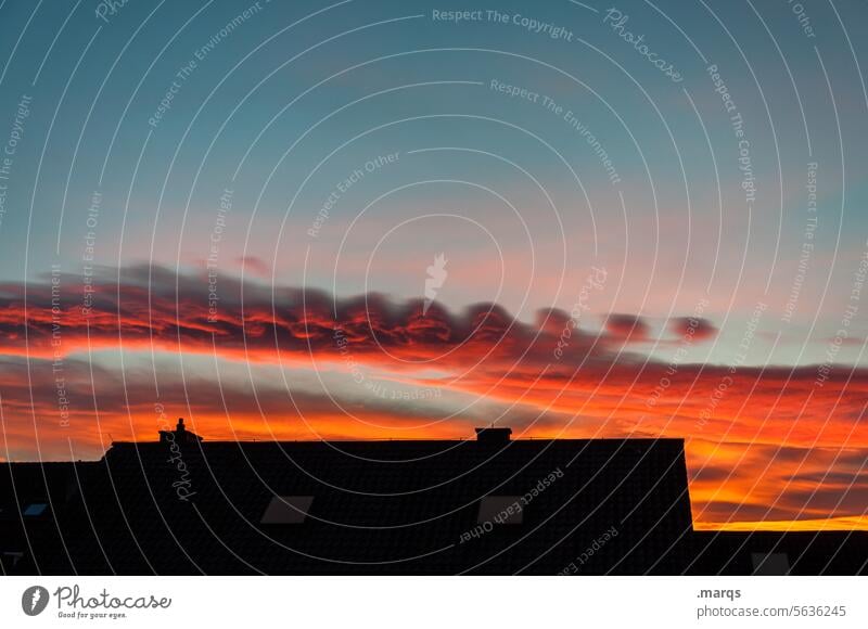 Formation Dämmerung Abend Altokumulus Stimmung rot schön außergewöhnlich Wetter Wolken Natur Urelemente Luft nur Himmel Umwelt Meteorologie Atmosphäre