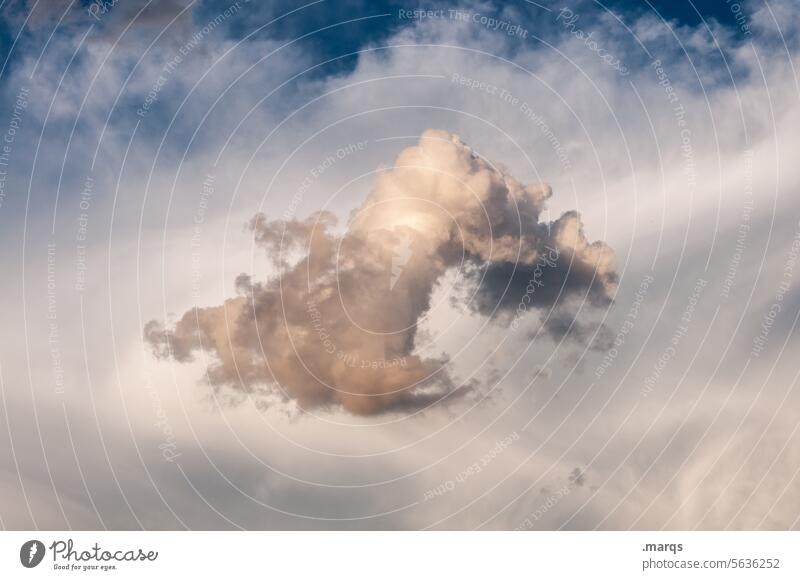In der Schwebe Hingabe Klimakrise meteorologie einzelne wolke Wolkenhimmel wolkig Umwelt blau cloud 1 Schweben Natur Klimawandel Himmel Luft Urelemente Wetter