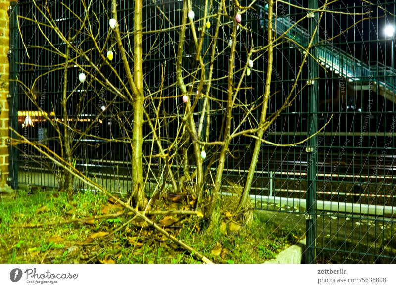 Osterstrauch abend ast baum deko dekoration dunkel dämmerung ei erholung erwachen ferien frühjahr frühling frühlingserwachen garten hecke knospe menschenleer