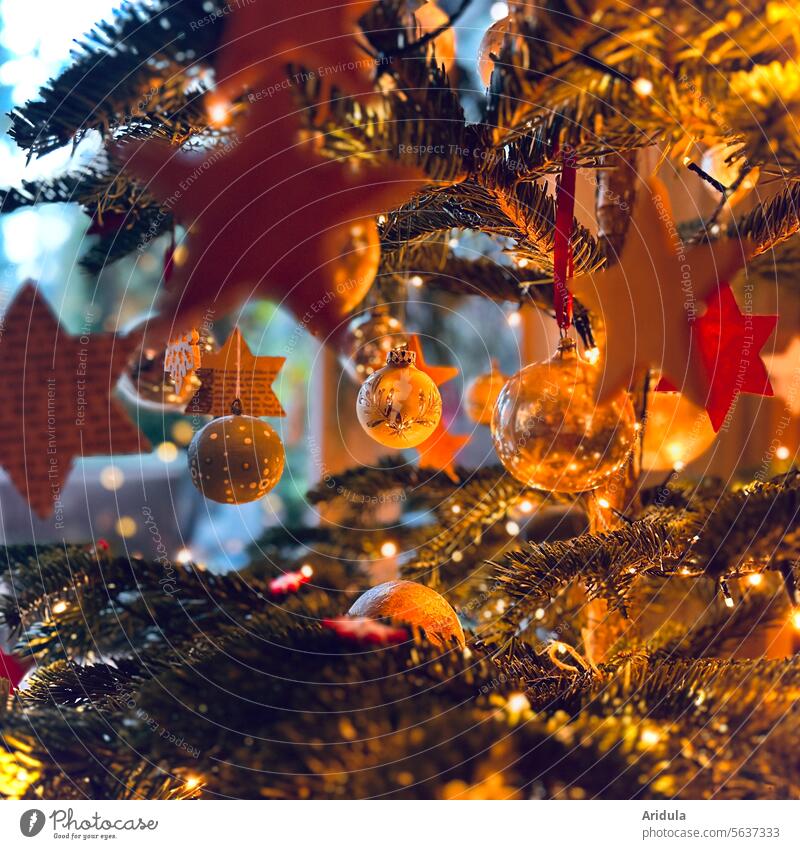 Glanz und Lichterschein im Weihnachtsbaum Weihnachten Tannenbaum Weihnachten & Advent Weihnachtsdekoration Tradition Feste & Feiern Kugeln Glsnz Sterne