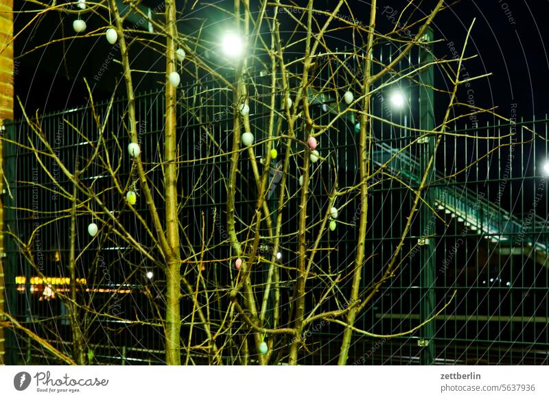 Osterstrauch in der Nacht abend ast baum deko dekoration dunkel dämmerung ei erholung erwachen ferien frühjahr frühling frühlingserwachen garten hecke knospe