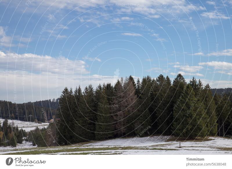 Schwarzwald mit Farbe Wald Fivhten Bäume Baumsterben Hügel Wiese Schnee Winter Himmel Wolken schönes Wetter Wege & Pfade Stromleitung Menschenleer Landschaft