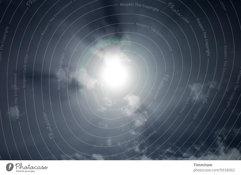 Ein Blick auf die Wintersonne Sonne Licht Strahlung Hell Helligkeit Himmel Sonnenstrahlen Wolken Außenaufnahme Gegenlicht weiß blau grün Halo Lichteffekt