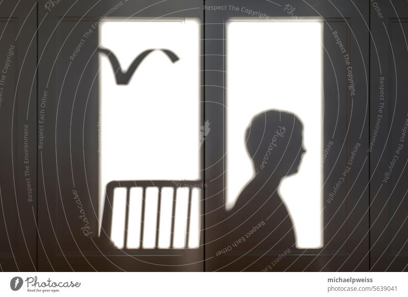 Schattenwurf auf Wohnzimmermöbel / Sideboard mit Möwe, Kopf, Stuhl, monochrom Schattenspiel Schwarzweißfoto silouette stuhl fenster