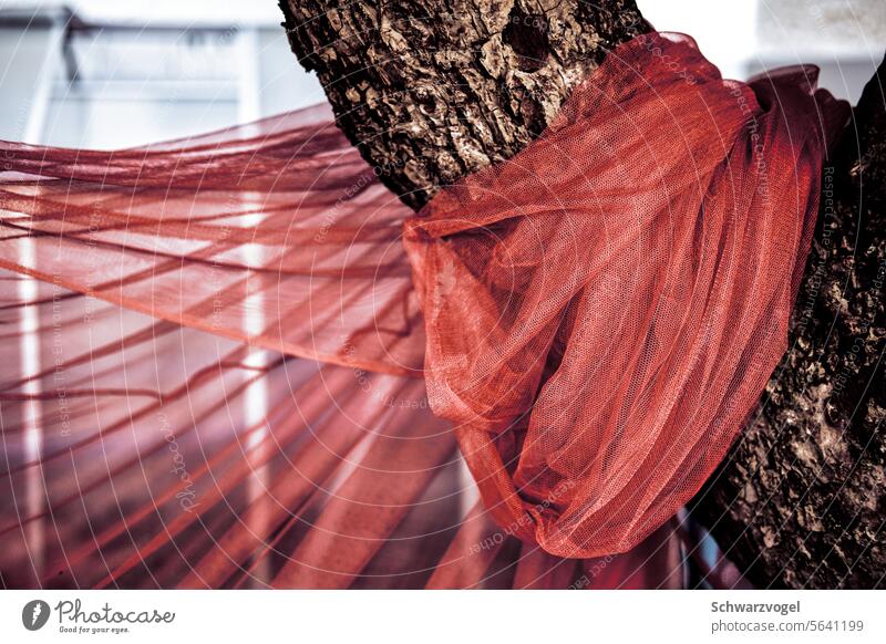 Baum mit einem Schal Tuch rot Farbfoto Stoff Außenaufnahme