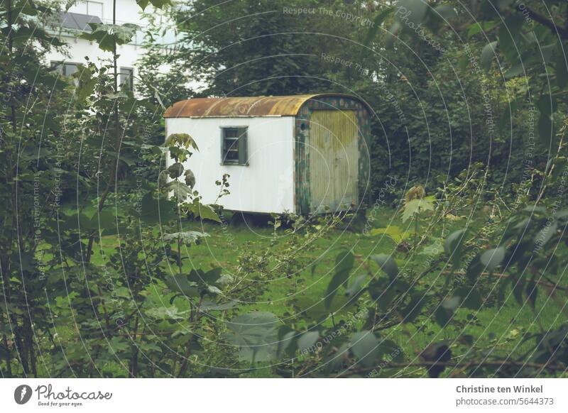 ganz schön abgefahren | ein alter schäbiger Bauwagen steht auf einer Wiese Wohnwagen Tiny House Tonnendach Sträucher abgenutzt angemalt Fenster wohnen im grünen