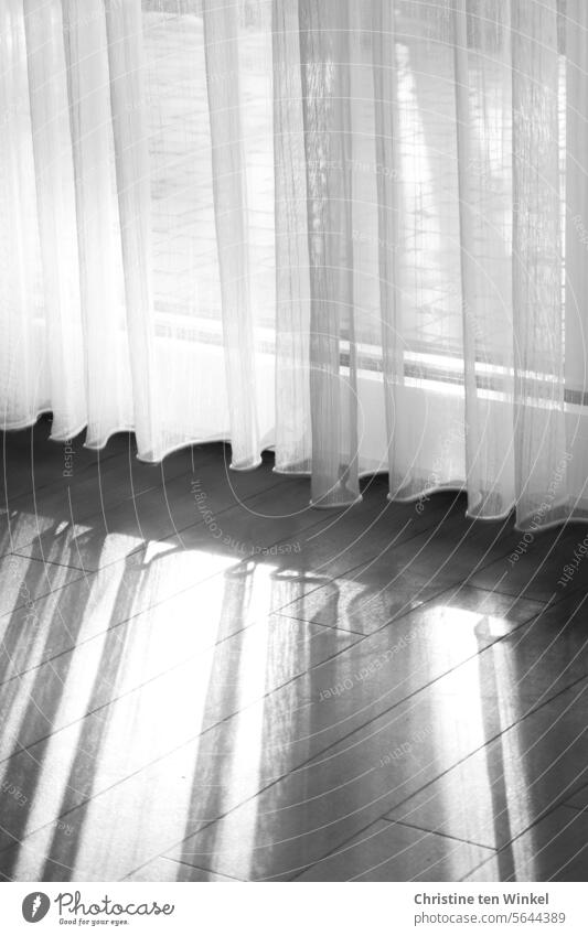 zarte Gardinen im Licht Fenster Vorhang Stoff Faltenwurf Häusliches Leben Schatten hängen Raum Strukturen & Formen Sichtschutz Innenaufnahme Textilien Fußboden