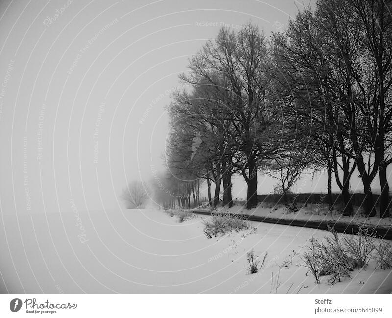 ein grauer Wintertag mit Nebel dunkler Wintertag düster nebeliger Morgen Asphaltstraße neblig Winterstimmung Kälte kalt ländlich Schneelandschaft Schneedecke