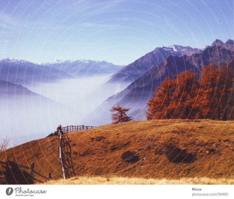 Meran Europa Wolken Ferien & Urlaub & Reisen Ferne Bergsteigen Baum Wiese Gras Italien schön Nebel Herbst rot Reichtum Außenaufnahme analog Berge u. Gebirge