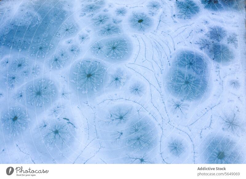 Mystische Eismuster in Guadalajara, Spanien Muster Frost Natur kompliziert Artistik Gelassenheit Oberfläche Winter Textur kalt blau natürlich im Freien Design