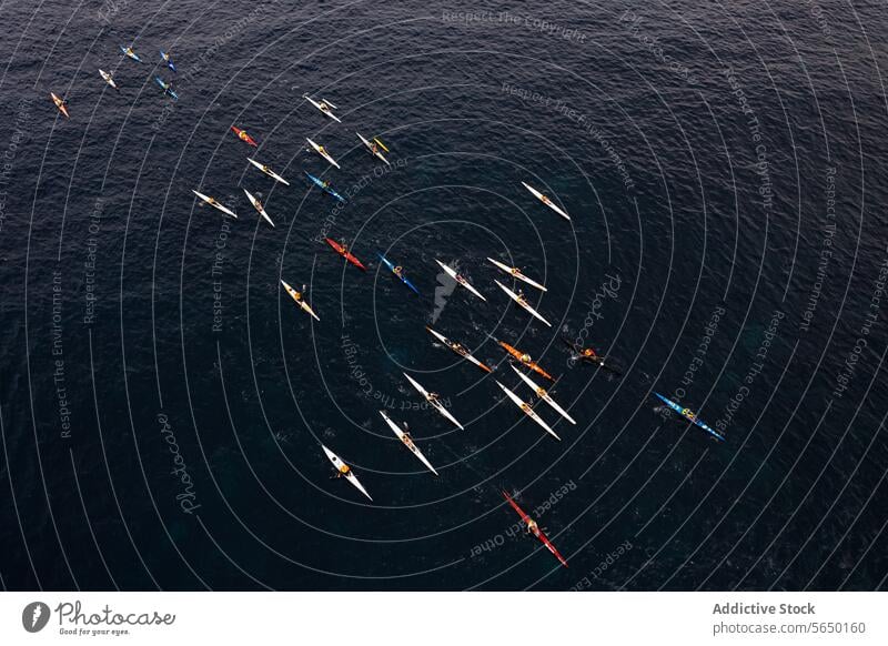 Luftaufnahme von Kajakfahrern, die in Formation auf dem Meer paddeln Paddeln MEER Wassersport ruhiges Meer Kanu Natur Menschengruppe Outdoor-Aktivität Abenteuer