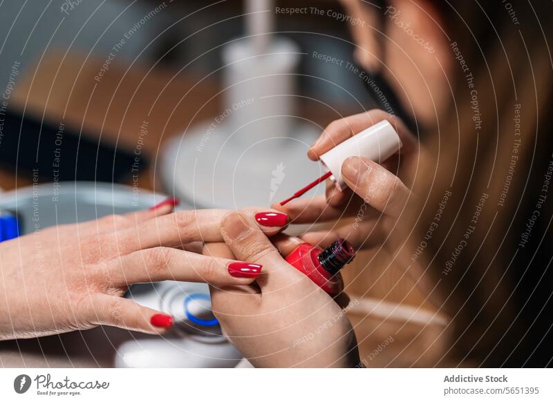 Crop Frau bekommen Nagelmaniküre von Kosmetikerin im Salon Frauen Nagellack bewerben Maniküre nageln Schönheit Verfahren Kunde Leckerbissen Klient Dienst