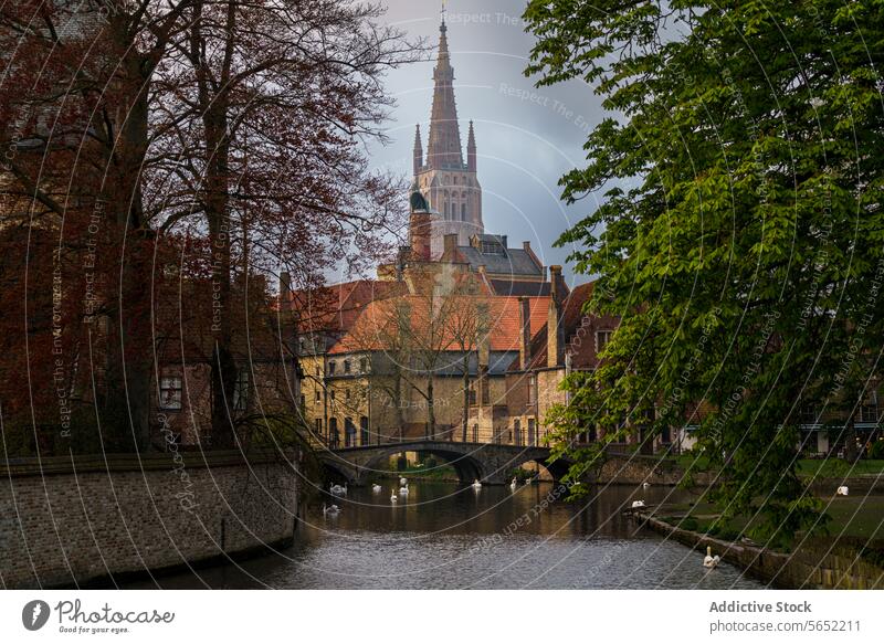 Historische Architektur in Brügge mit dem Kirchturm der Liebfrauenkirche über einer Kanalbrücke, Belgien historisch Marienkirche Turmspitze Brücke